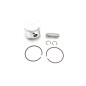 PISTON KIT TPI150 21- B