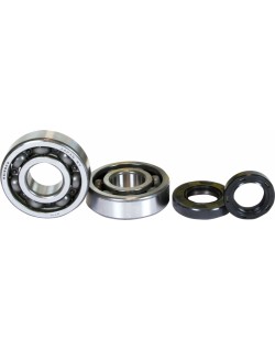 CRANK BEARING SEAL KIT