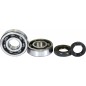 CRANK BEARING SEAL KIT