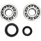 CRANK BEARING SEAL KIT