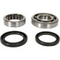 CRANK BEARING SEAL KIT