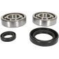 CRANK BEARING SEAL KIT