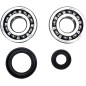 CRANK BEARING SEAL KIT