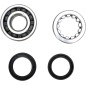 CRANK BEARING SEAL KIT