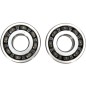CRANK BEARING SEAL KIT