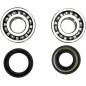 CRANK BEARING SEAL KIT