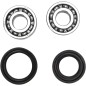 CRANK BEARING SEAL KIT