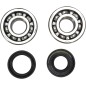 CRANK BEARING SEAL KIT