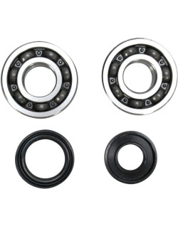 CRANK BEARING SEAL KIT