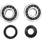 CRANK BEARING SEAL KIT