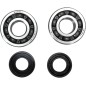 CRANK BEARING SEAL KIT