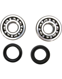CRANK BEARING SEAL KIT