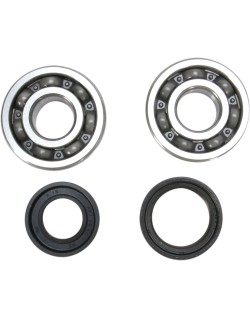 CRANK BEARING SEAL KIT