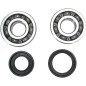 CRANK BEARING SEAL KIT