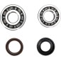 CRANK BEARING SEAL KIT