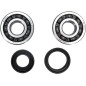 CRANK BEARING SEAL KIT