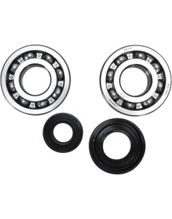 CRANK BEARING SEAL KIT