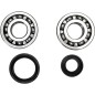 CRANK BEARING SEAL KIT