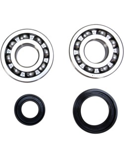 CRANK BEARING SEAL KIT