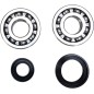 CRANK BEARING SEAL KIT