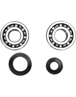 CRANK BEARING SEAL KIT