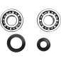 CRANK BEARING SEAL KIT