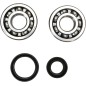 CRANK BEARING SEAL KIT