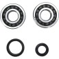 CRANK BEARING SEAL KIT