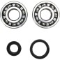 CRANK BEARING SEAL KIT
