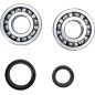 CRANK BEARING SEAL KIT