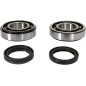 CRANK BEARING SEAL KIT