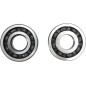 CRANK BEARING SEAL KIT