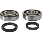 CRANK BEARING SEAL KIT