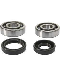 CRANK BEARING SEAL KIT
