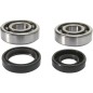 CRANK BEARING SEAL KIT