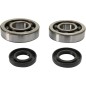 CRANK BEARING SEAL KIT
