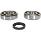 CRANK BEARING SEAL KIT