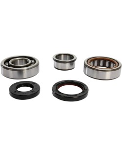 CRANK BEARING SEAL KIT