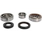 CRANK BEARING SEAL KIT