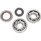 CRANK BEARING SEAL KIT