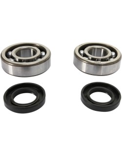 CRANK BEARING SEAL KIT