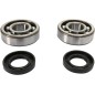 CRANK BEARING SEAL KIT