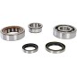 CRANK BEARING SEAL KIT