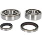 CRANK BEARING SEAL KIT