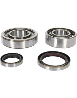 CRANK BEARING SEAL KIT