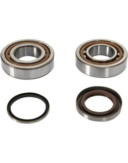 CRANK BEARING SEAL KIT