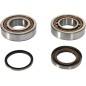 CRANK BEARING SEAL KIT
