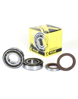 CRANK BEARING SEAL KIT