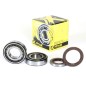 CRANK BEARING SEAL KIT