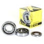 CRANK BEARING SEAL KIT